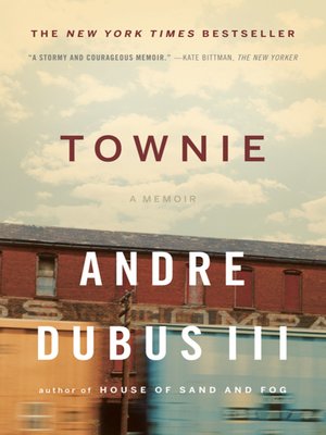 cover image of Townie